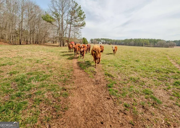 $425,000 | 25-acres Mcfarlin Bridge, Carnesville, GA 30521