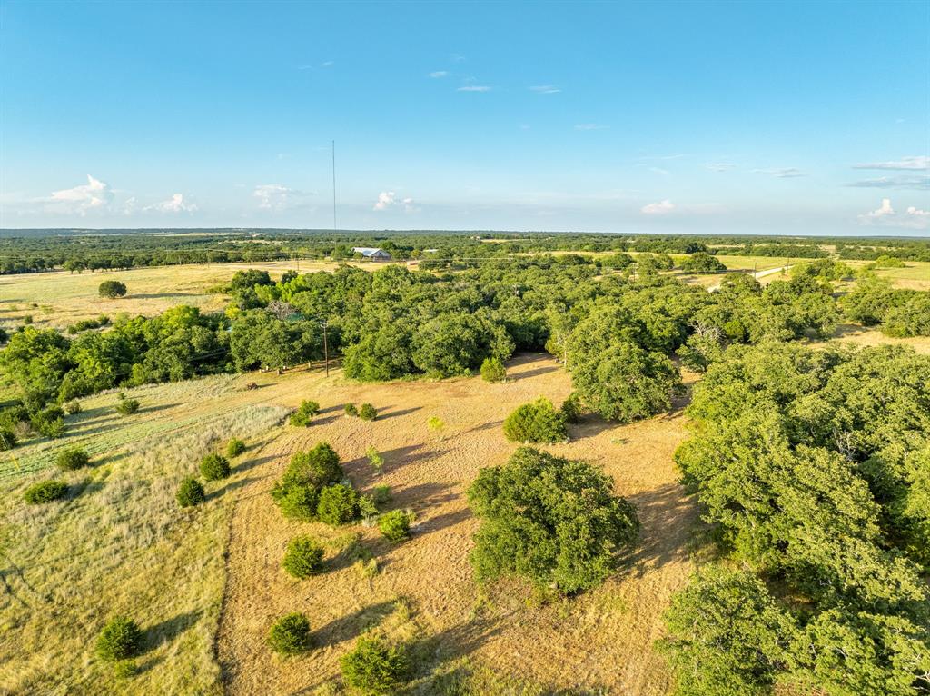 1030 Mustang Ridge Perrin, TX 76486 - Photo 15 of 21