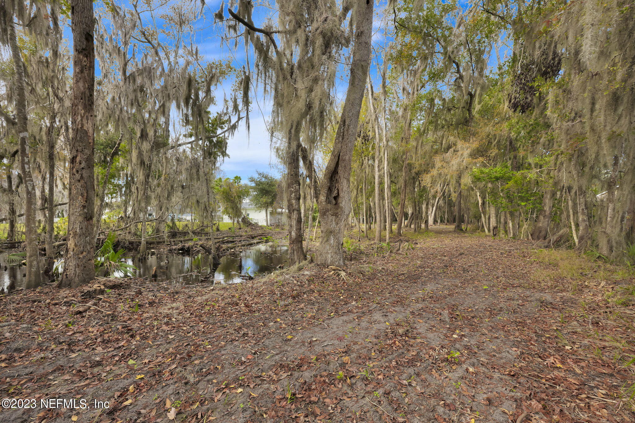 8515 Florence Cove Road St. Augustine, FL 32092 - Photo 12 of 25 Southeast Corner