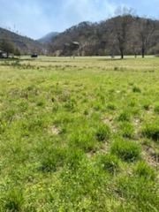 1654 Waldens Creek Road Pigeon Forge, TN 37862 - Photo 3 of 8