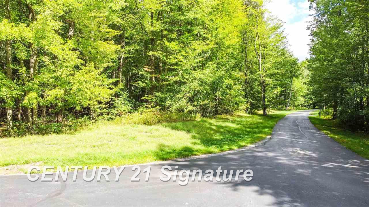16600 Ederer Road Hemlock, MI 48626 - Photo 17 of 25
