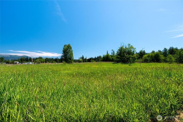 a view of a garden with a lake