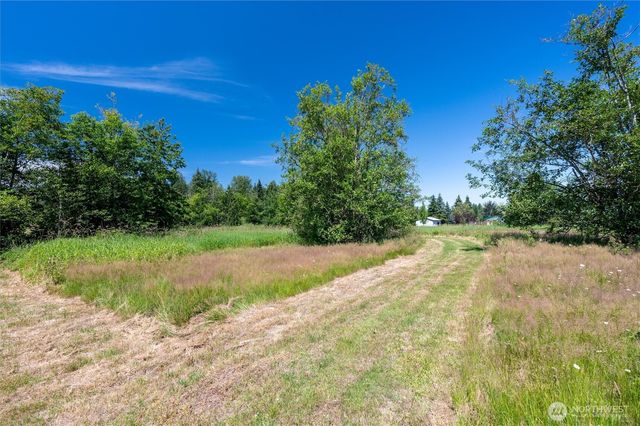 a view of a yard with a tree