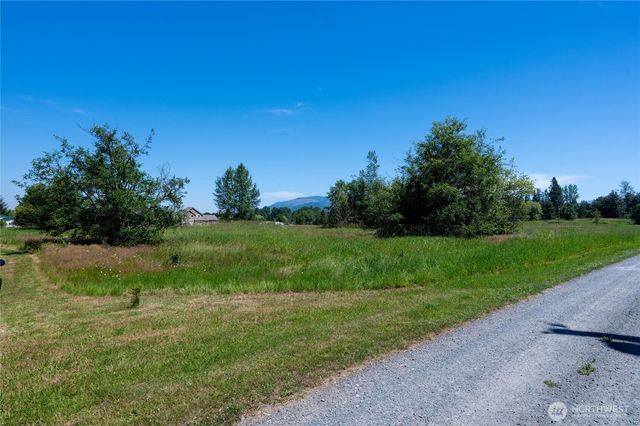 a view of a garden with plants and large trees