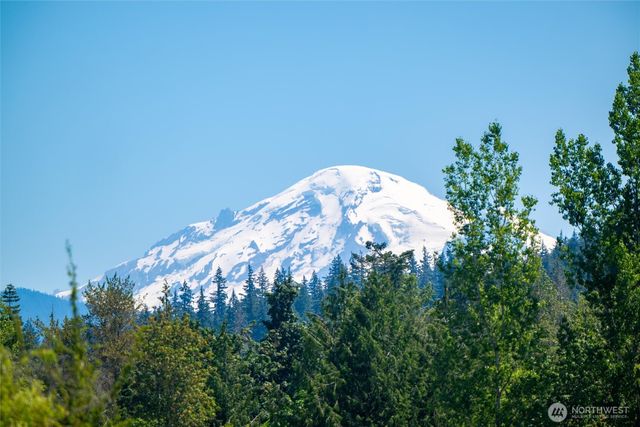 a view of a plant in a garden
