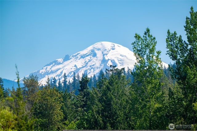 a close up of a flower in a garden
