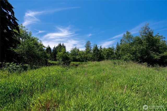 a view of a lush green space