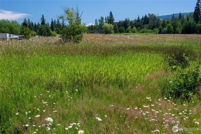 a view of a lush green space