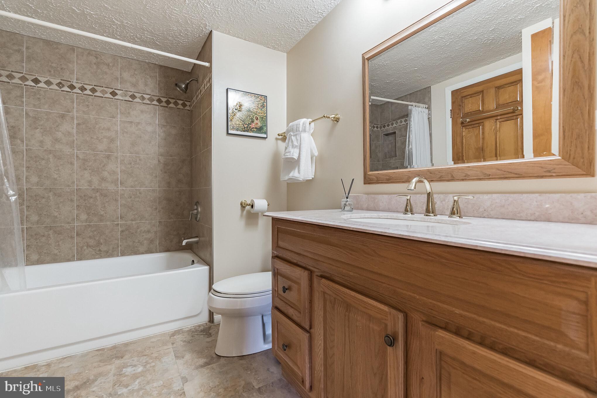 1610 Barnstead Drive Reston, VA 20194 - Photo 17 of 33 a bathroom with a sink a toilet and shower