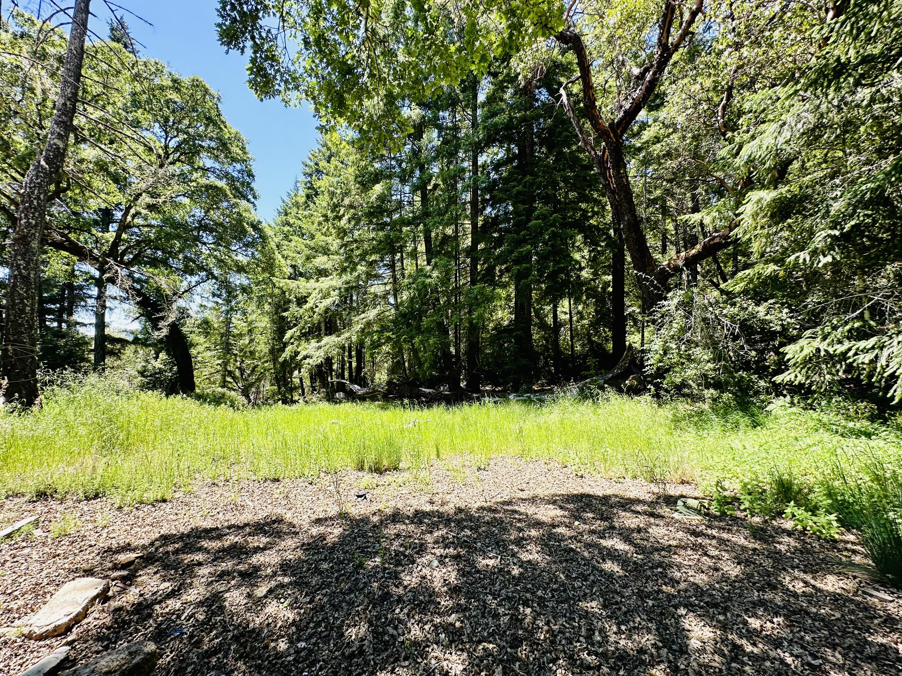 400 Seely Creek Road Redway, CA 95560 - Photo 29 of 73