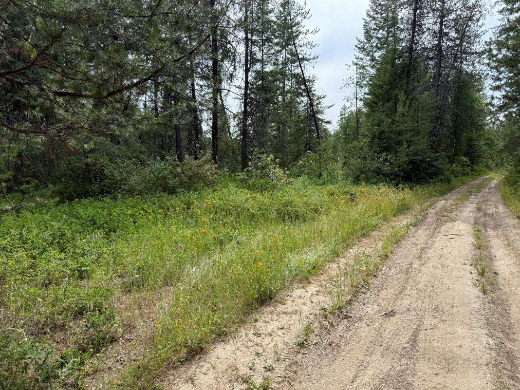 Lot 1 Springdale Hunters Road Springdale, WA 99173 - Photo 1 of 12