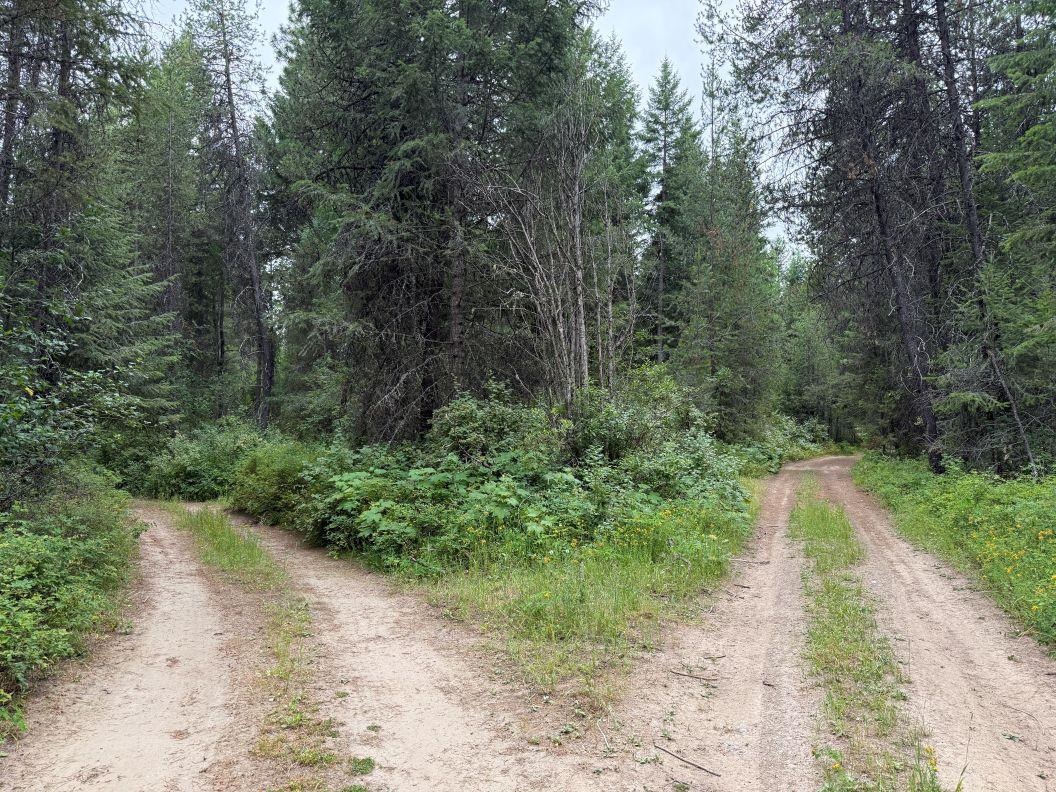 Lot 1 Springdale Hunters Road Springdale, WA 99173 - Photo 12 of 12