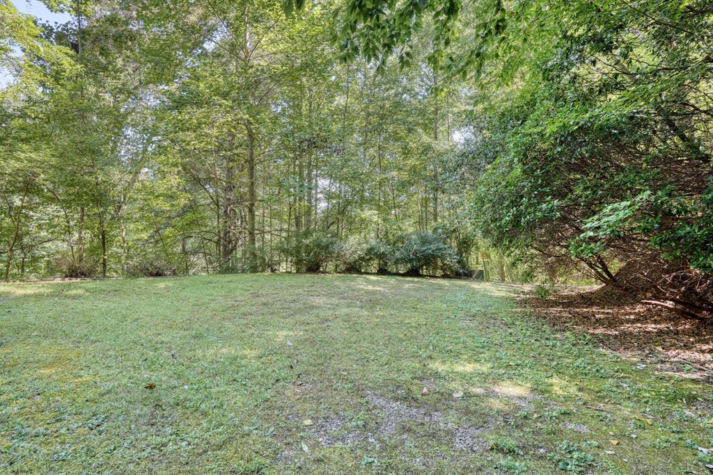 8088 Ivylog Gap Road Young Harris, GA 30582 - Photo 28 of 39 Gallery Image 28