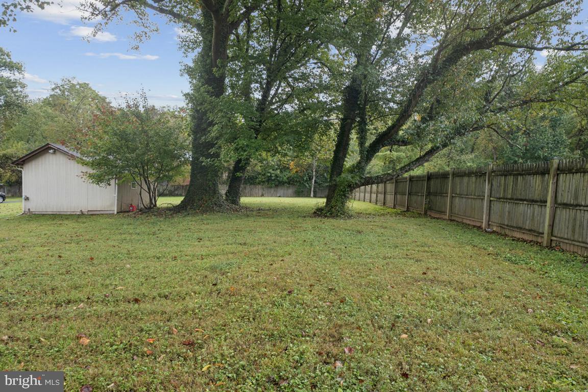 2025 Fairland Road Silver Spring, MD 20904 - Photo 21 of 23 a view of a backyard with large trees