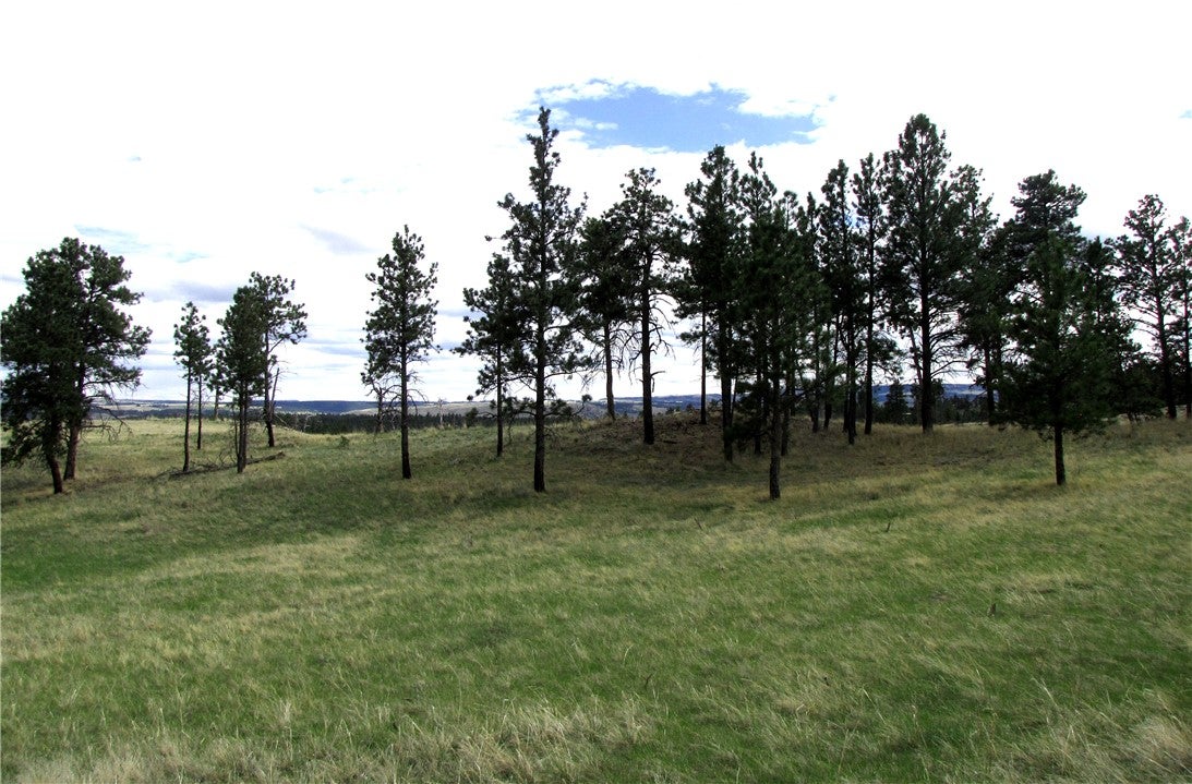 Nhn Nhn Wild Turkey Ridge Road Columbus, MT 59019 - Photo 27 of 47 Gallery Image 27
