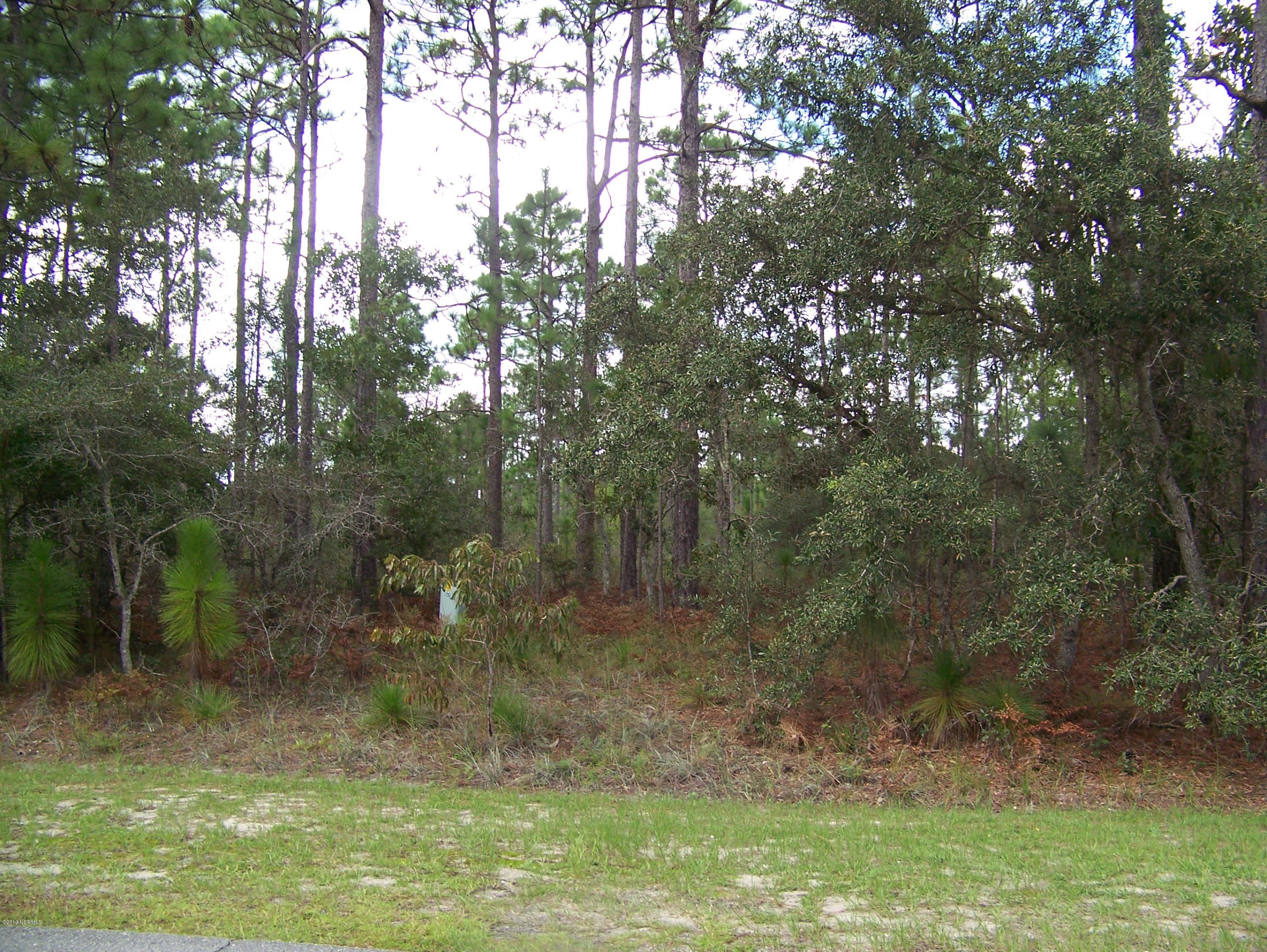 680 Virginia Drive Boiling Spring Lakes, NC 28461 - Photo 1 of 1 front