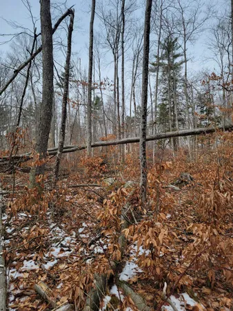 $65,000 | 80 Crossover Road, Bennington, VT 05201