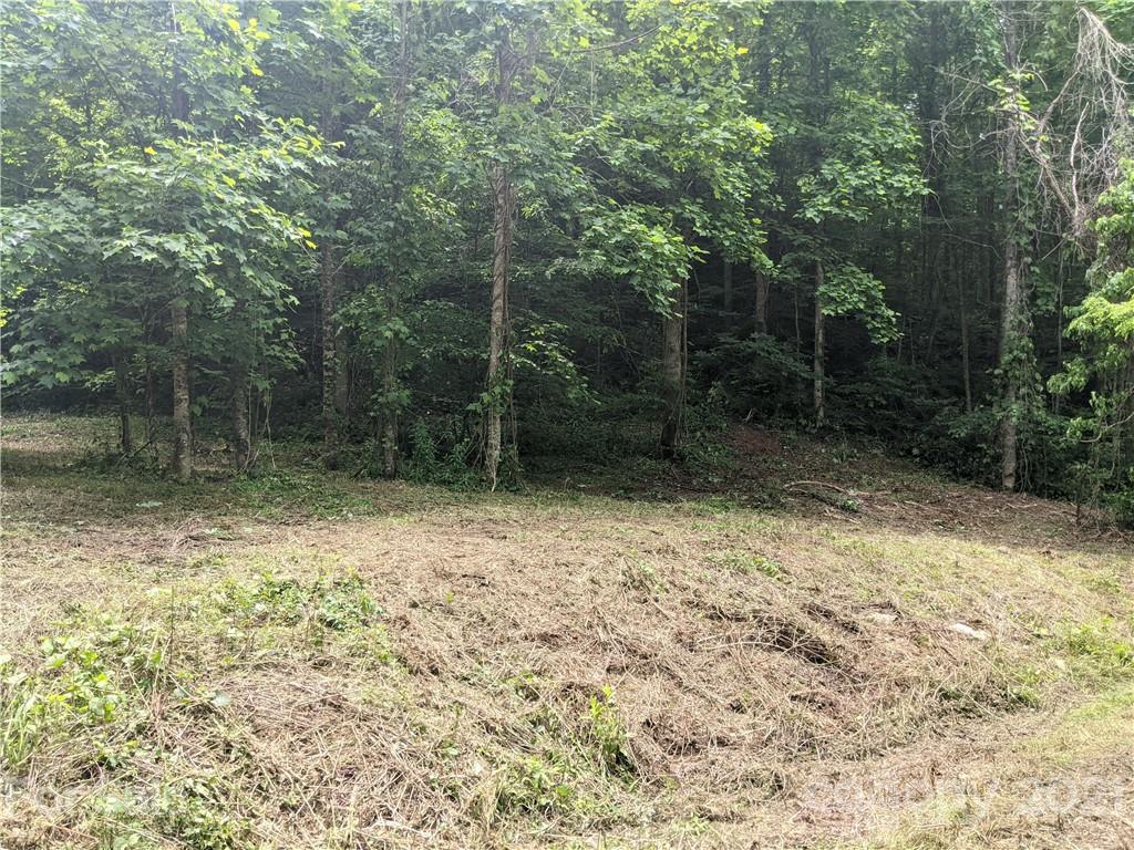 Tbd Heck Creek Road Marshall, NC 28753 - Photo 11 of 32 Gallery Image 11