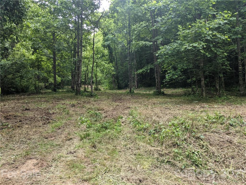 Tbd Heck Creek Road Marshall, NC 28753 - Photo 13 of 32 Gallery Image 13