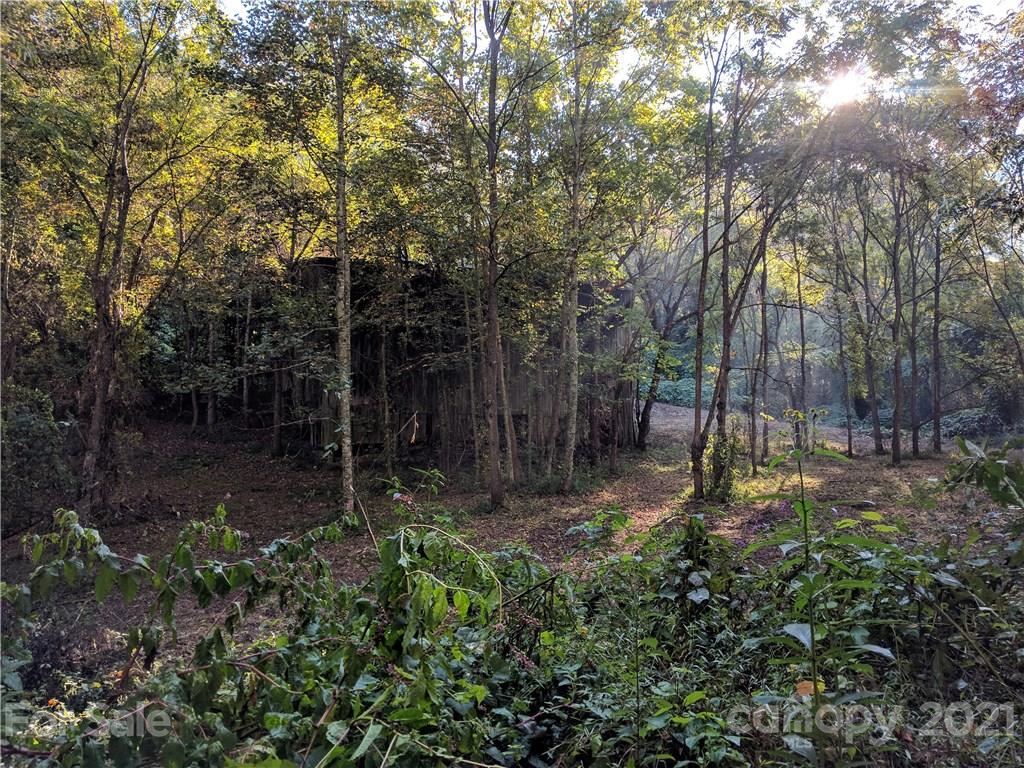 Tbd Heck Creek Road Marshall, NC 28753 - Photo 15 of 32 Gallery Image 15