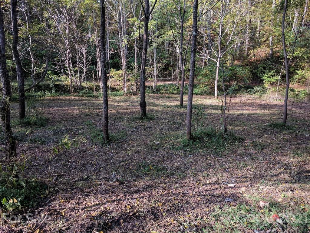 Tbd Heck Creek Road Marshall, NC 28753 - Photo 16 of 32 Gallery Image 16