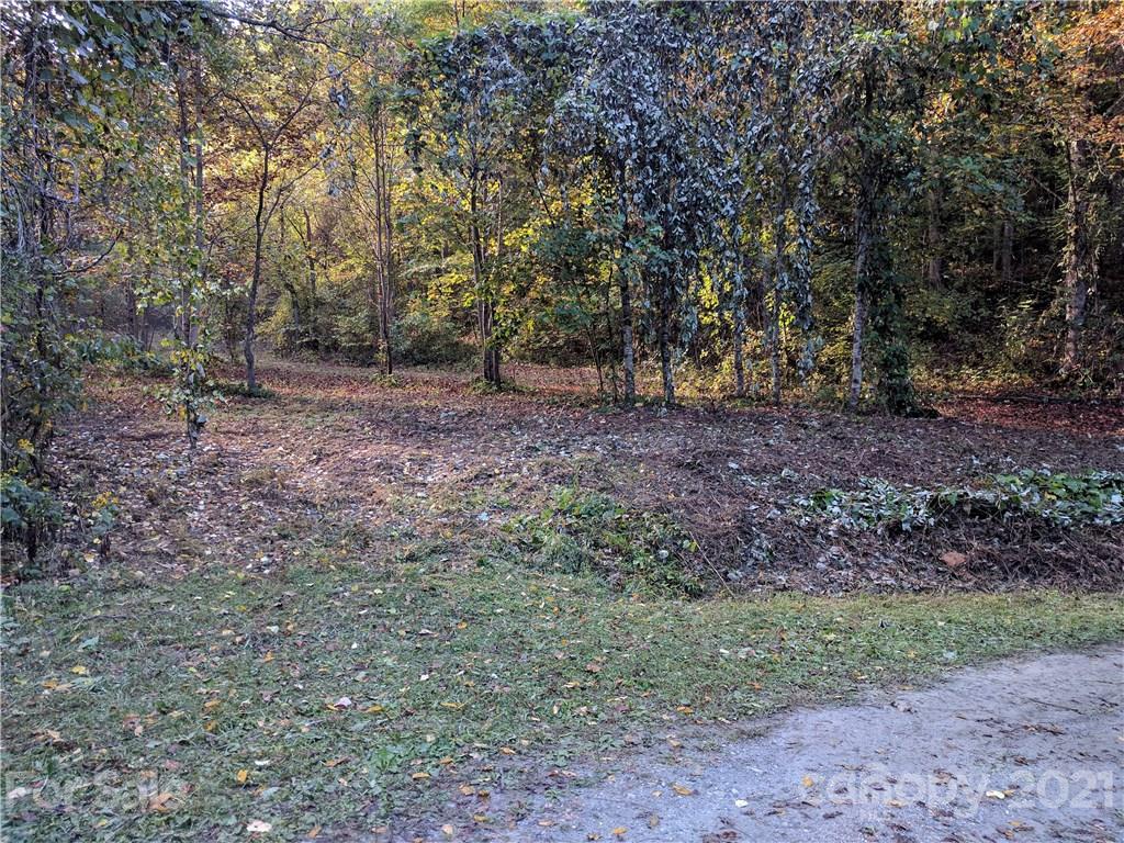 Tbd Heck Creek Road Marshall, NC 28753 - Photo 17 of 32 Gallery Image 17