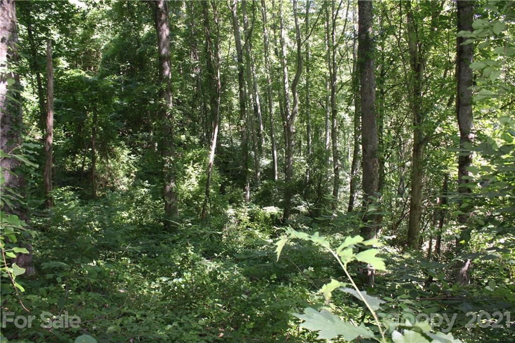 Tbd Heck Creek Road Marshall, NC 28753 - Photo 20 of 32 Gallery Image 20