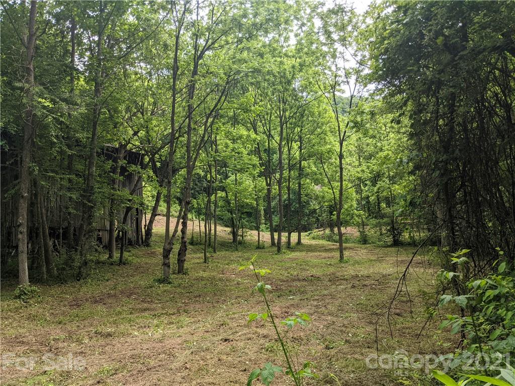 Tbd Heck Creek Road Marshall, NC 28753 - Photo 3 of 32 Gallery Image 3