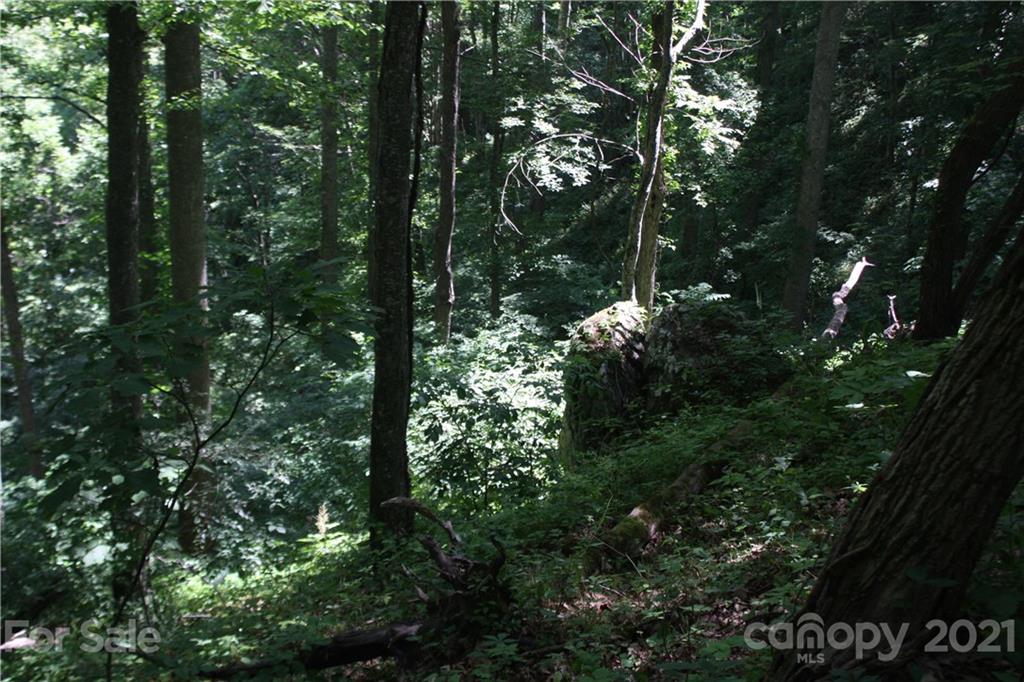 Tbd Heck Creek Road Marshall, NC 28753 - Photo 22 of 32 Gallery Image 22