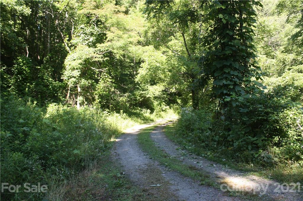 Tbd Heck Creek Road Marshall, NC 28753 - Photo 23 of 32 Gallery Image 23