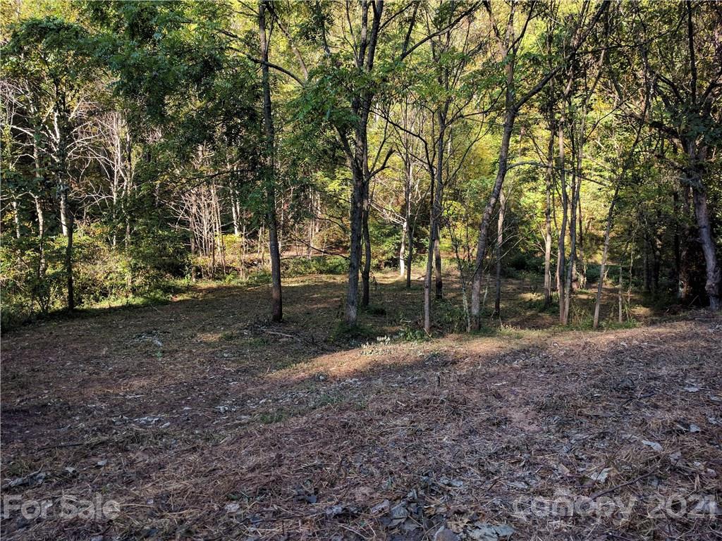 Tbd Heck Creek Road Marshall, NC 28753 - Photo 24 of 32 Gallery Image 24