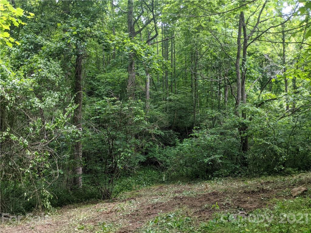 Tbd Heck Creek Road Marshall, NC 28753 - Photo 27 of 32 Gallery Image 27