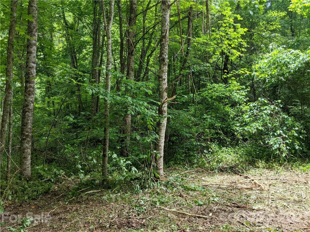 Tbd Heck Creek Road Marshall, NC 28753 - Photo 29 of 32 Gallery Image 29