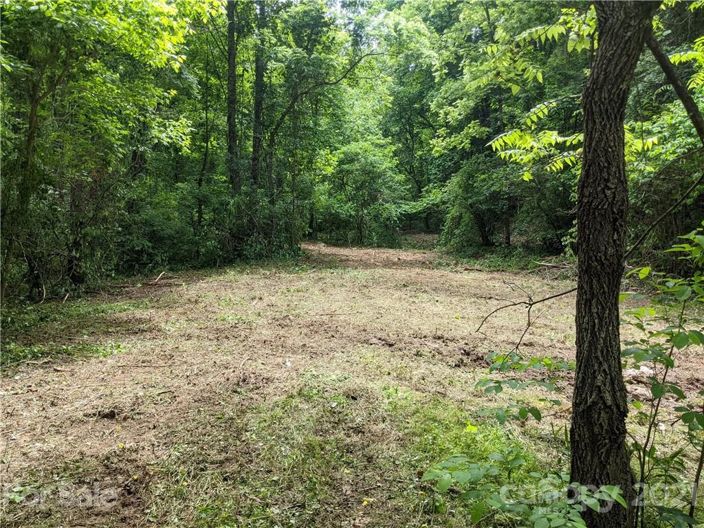 Tbd Heck Creek Road Marshall, NC 28753 - Photo 4 of 32 Gallery Image 4