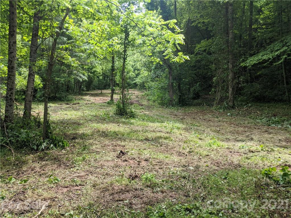 Tbd Heck Creek Road Marshall, NC 28753 - Photo 31 of 32 Gallery Image 31