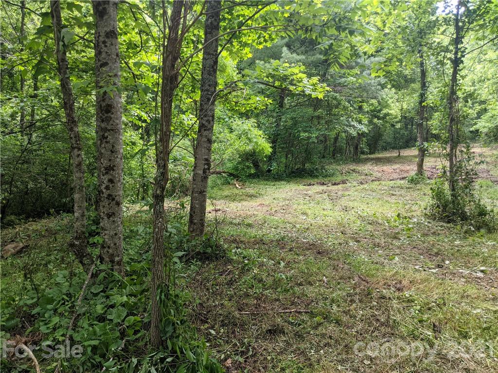 Tbd Heck Creek Road Marshall, NC 28753 - Photo 5 of 32 Gallery Image 5