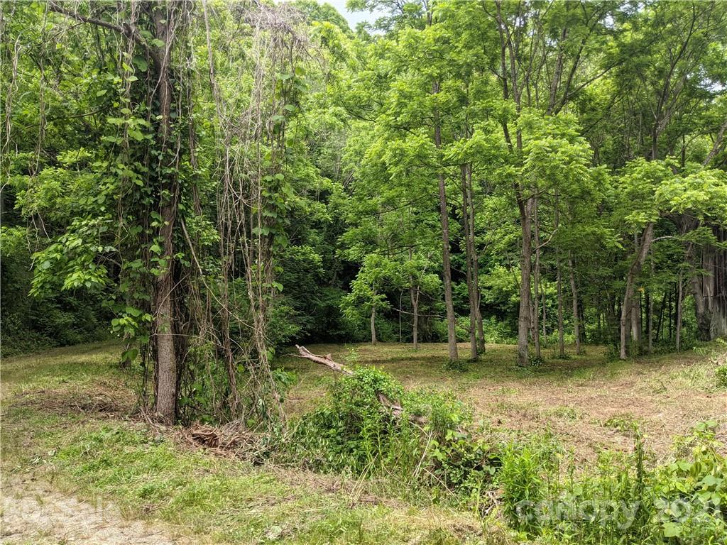 Tbd Heck Creek Road Marshall, NC 28753 - Photo 6 of 32 Gallery Image 6