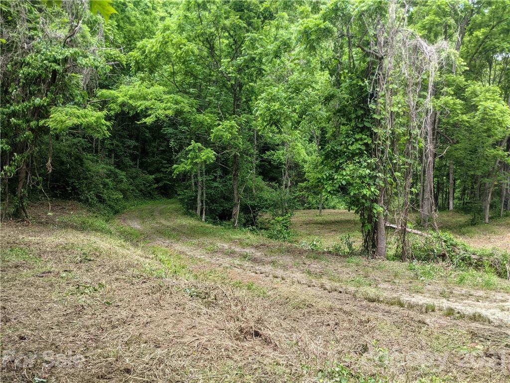 Tbd Heck Creek Road Marshall, NC 28753 - Photo 7 of 32 Gallery Image 7