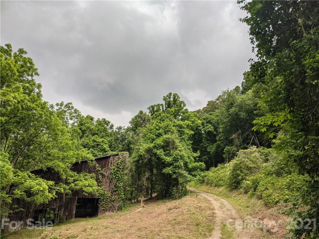 Tbd Heck Creek Road Marshall, NC 28753 - Photo 8 of 32 Gallery Image 8