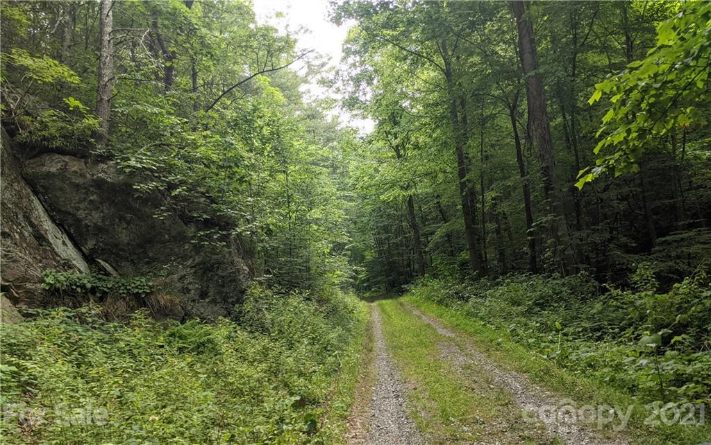 Tbd Heck Creek Road Marshall, NC 28753 - Photo 10 of 32 Gallery Image 10