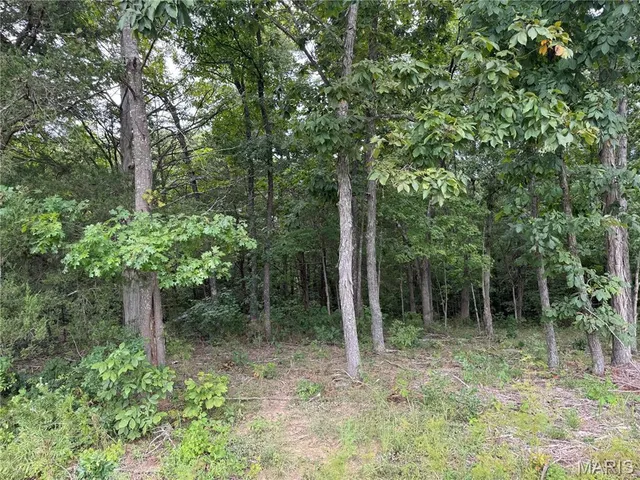 $36,900 | 0 State Hwy U, Irondale, MO 63648