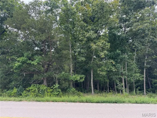 $36,900 | 0 State Hwy U, Irondale, MO 63648