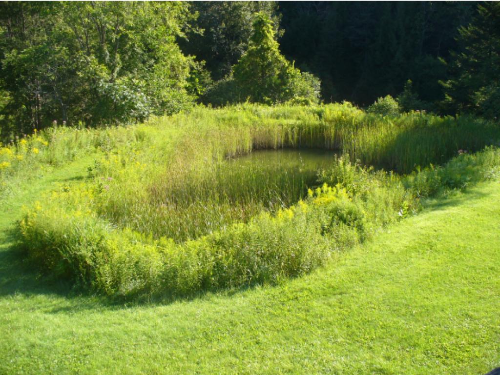 7167 Pomfret Road Pomfret, VT 05053 - Photo 6 of 19
