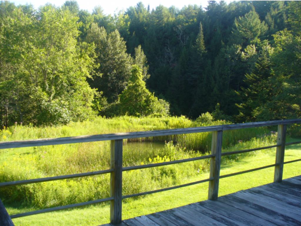 7167 Pomfret Road Pomfret, VT 05053 - Photo 10 of 19