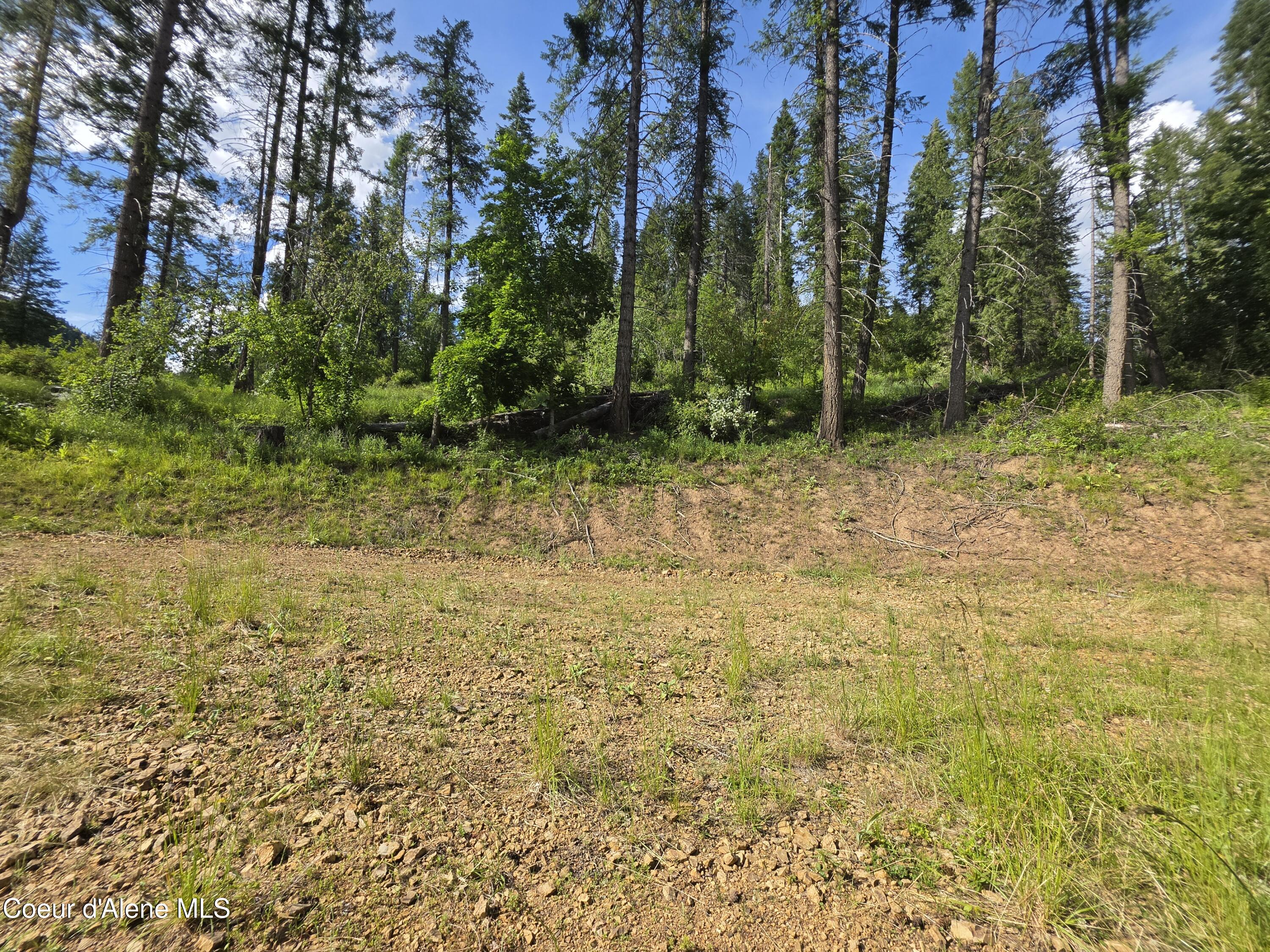 480 Dunn Peak Road Avery, ID 83802 - Photo 32 of 66 2nd Building Site