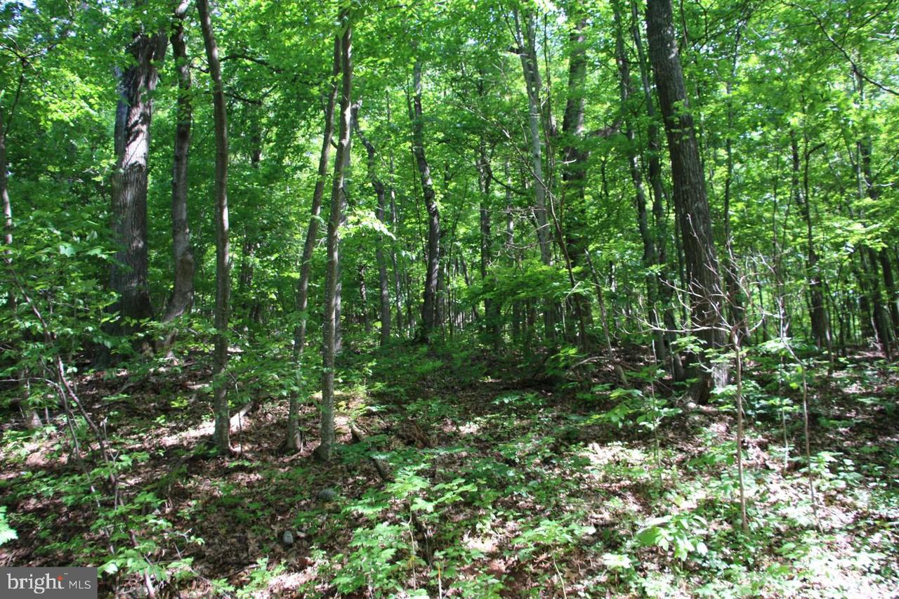 897 Helms Road Stanley, VA 22851 - Photo 46 of 60