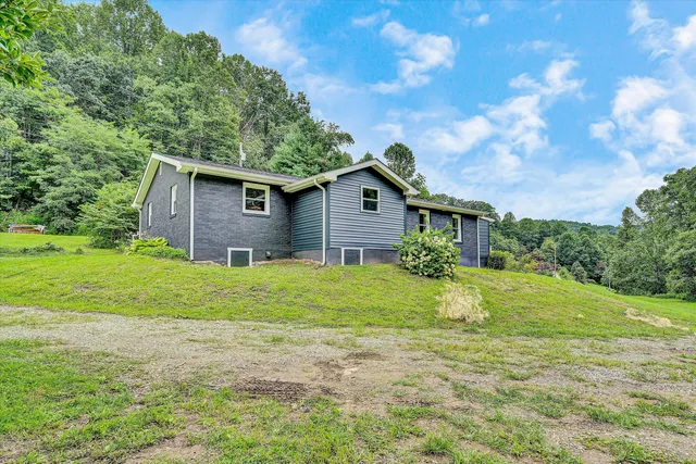 a backyard of a house with yard and tree