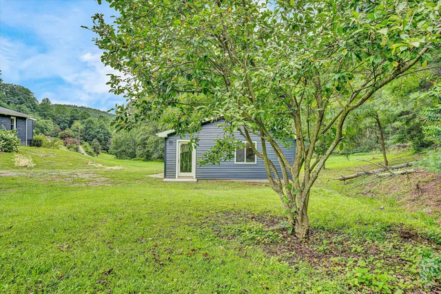 a view of a grassy field with trees