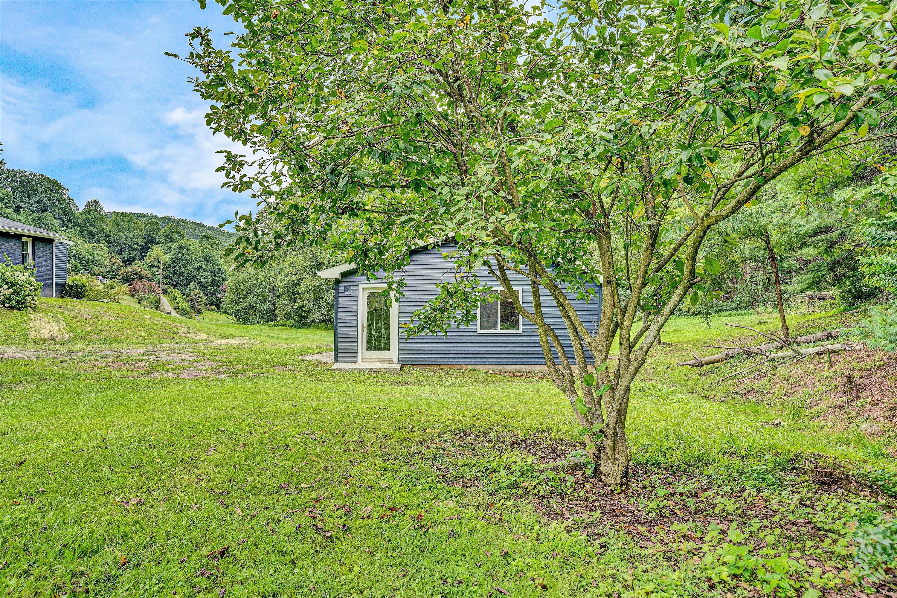 251 Meadow Branch Road Boones Mill, VA 24065 - Photo 31 of 34 a backyard of a house with yard and tree