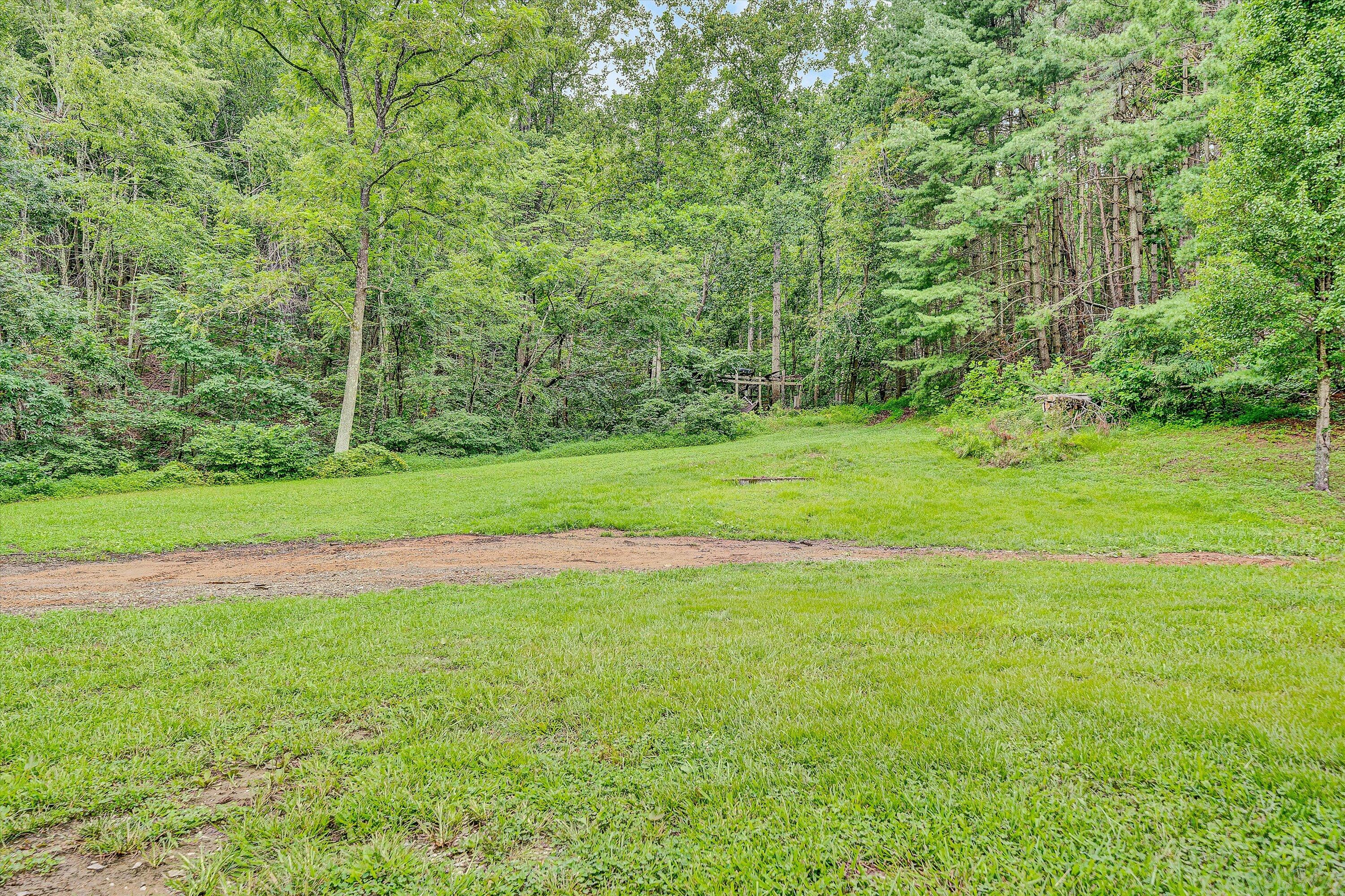 251 Meadow Branch Road Boones Mill, VA 24065 - Photo 33 of 34 a view of a grassy field with trees